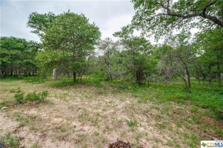 316 Shorthorn Road, Stockdale, טקסס 78160, ארצות הברית של אמריקה