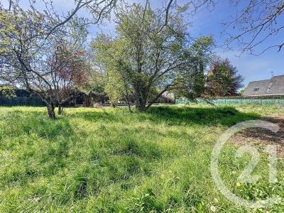 St Cyr Sur Loire, Centro 37540, França