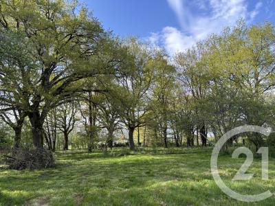 Montpon Menesterol, Aquitaine 24700, France