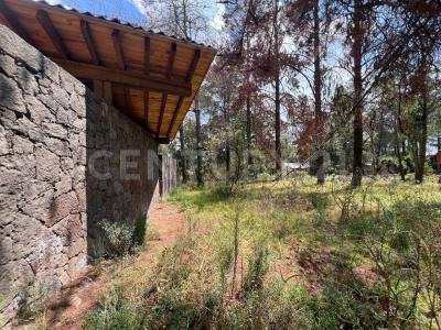 San José de los Encinos SN,, Amealco De Bonfil, 克雷塔羅 76850, 墨西哥