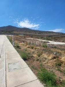Puerta de Plata SN,, 萨卡特卡斯, 萨卡特卡斯 98085, 墨西哥