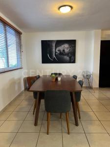 calle cerro colorado 14,, Los Cabos, באחה קליפורניה הדרומית 23405, מקסיקו 