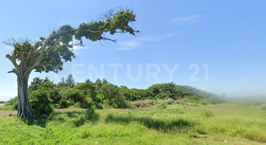 Alvarado, Veracruz 95260, México