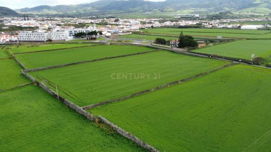 Ribeira Grande, São Miguel Island 9600, Portugal
