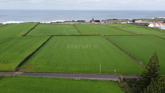 Ribeira Grande, São Miguel Island 9600, Portugal