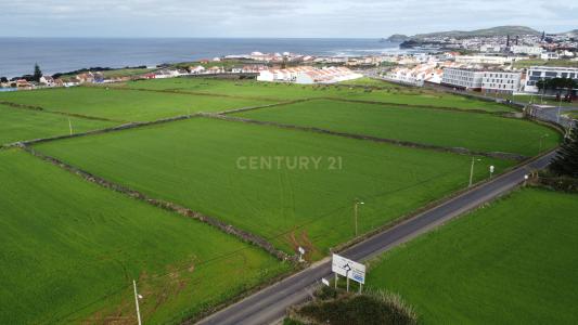 Ribeira Grande, São Miguel Island 9600, Portugal