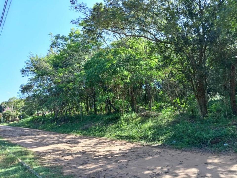 Ita Yvu MI , Caacupé, Cordillera 00001, Paraguay