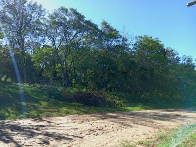 Ita Yvu MI , Caacupé, Cordillera 00001, Paraguay