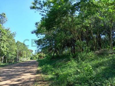 Ita Yvu MI , Caacupé, Cordillera 00001, Paraguay