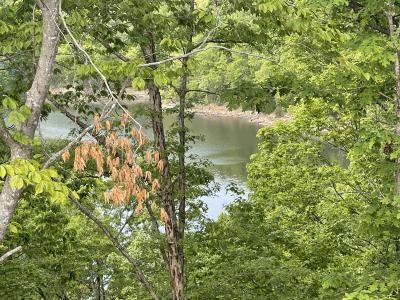 Lot 37 Cumberland Shores , Monticello, Kentucky 42633, HOA KỲ