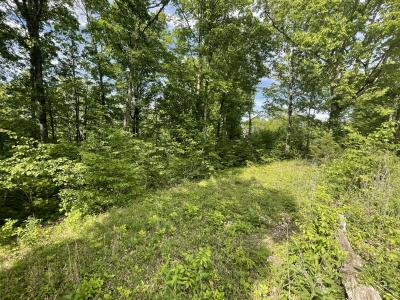 Lot 37 Cumberland Shores , Monticello, Kentucky 42633, HOA KỲ