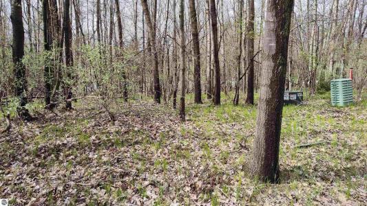 1150 Queensway Drive, Lake Isabella, Michigan 48893, USA