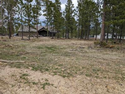Lot 8 Block 4 Candlewood Court, Lead, サウスダコタ 57754, アメリカ合衆国