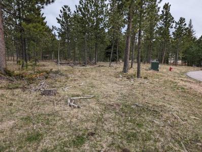 Lot 8 Block 4 Candlewood Court, Lead, サウスダコタ 57754, アメリカ合衆国