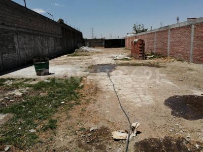 Zinacantepec, 墨西哥州 51356, 墨西哥