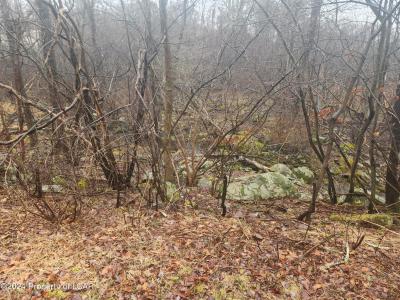 43 Thunder Drive, White Haven, Pennsylvania 18661, Estados Unidos