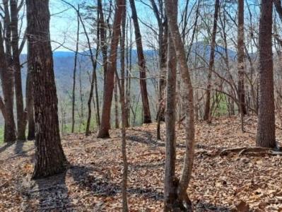 0 Upper Salem Church Road, Jasper, Georgia 30143, USA