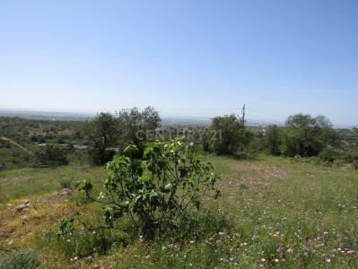 Loulé, Faro 8100-099, Portugal