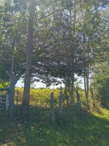 Py 02 Ruta Mcal Estigarribia , Itacurubí De La Cordillera, Cordillera 00001, Paraguay