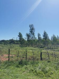 Py 02 Ruta Mcal Estigarribia , Itacurubí De La Cordillera, Cordillera 00001, Paraguay