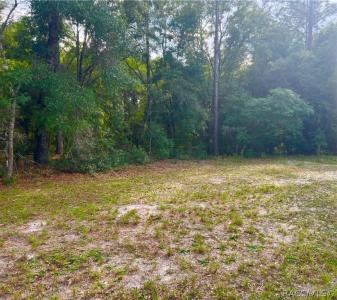0 SE 170th Avenue, Ocklawaha, Florida 32179, Estados Unidos