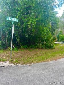 0 SE 170th Avenue, Ocklawaha, Florida 32179, Estados Unidos