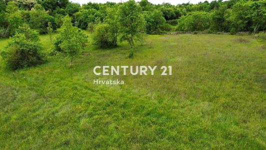 Sveti Lovreč, Sveti Lovreč, Istarska Županija 52448, Croatia