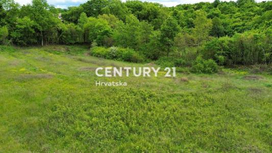 Sveti Lovreč, Sveti Lovreč, Istarska Županija 52448, Croatia