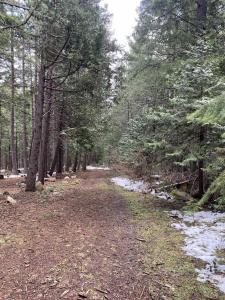Red Fir Loop, Weed, California 96094
