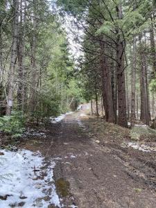 Red Fir Loop, Weed, California 96094