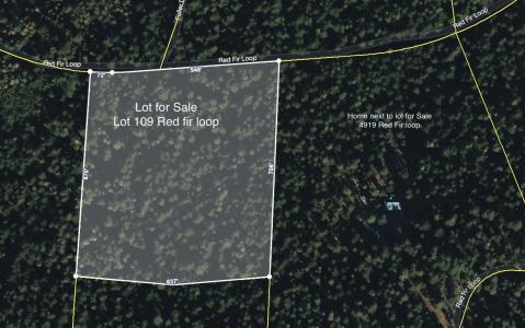 Red Fir Loop, Weed, California 96094
