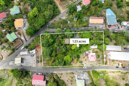 Grand Bras Main Road Lot with Building, St.Andrew West Indies, Grenada