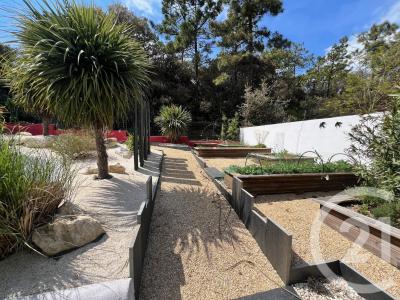 La Barre De Monts, Pays De La Loire 85550, France