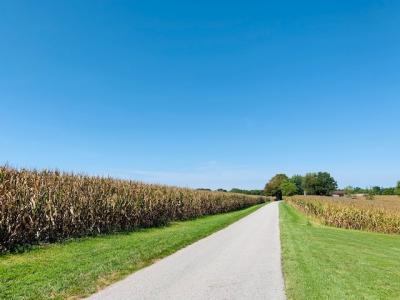 00 Capps Road 64.18 Acres, Campbellsville, Kentucky 42718, USA