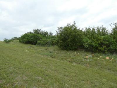 Lot 294 Shooting Star Court, Graford, 德克薩斯州 76449, 美國