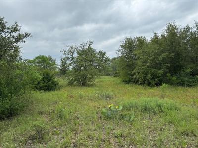 Lot 294 Shooting Star Court, Graford, 德克薩斯州 76449, 美國