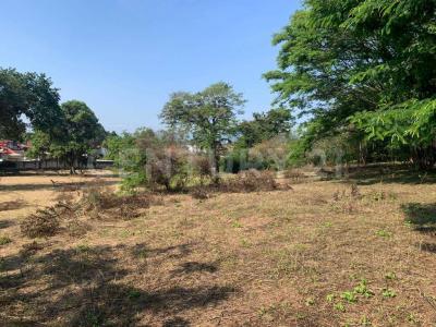 Coatepec, Veracruz 91500, Mexico