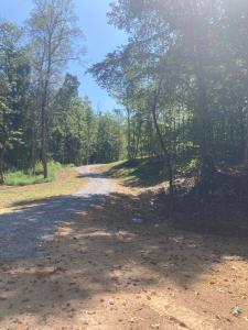 0 Creasy Road, Blue Ridge, Virginia 24064, Estados Unidos