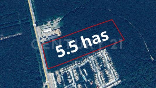 1 1,, Tulum, Quintana Roo 77780, Mexico