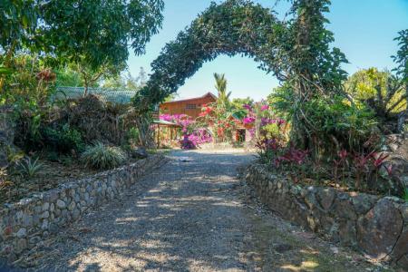 Quebradas , San Isidro Del General Pérez Zeledón, San José 00001, Costa Rica