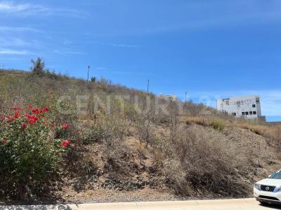 Ahome, 锡那罗亚 81254, 墨西哥