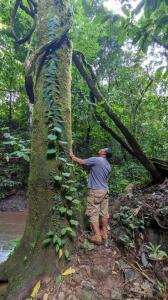Parrita Parrita, Puntarenas 00001, Коста-Рика
