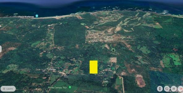 Hacienda Pinilla Tamarindo Santa Cruz, Guanacaste 00001, Kostaryka