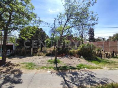 Av. 20 de Noviembre .,, Ocotlan, Jalisco 47892, Mexico