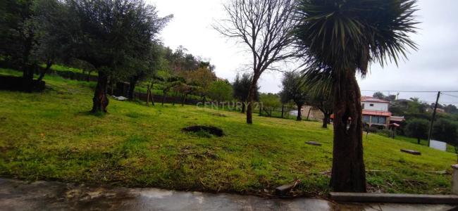 Barcelos, Braga 4750-041, Portugal