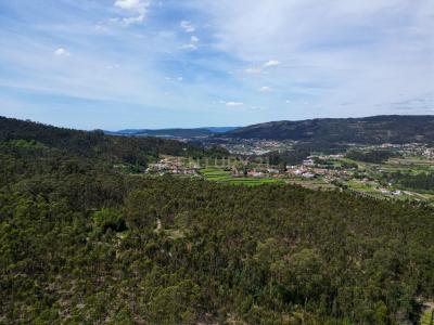 Barcelos, Braga 4750-041, Portugal