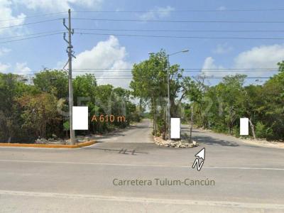 Tulum, 킨 타나 77780, 멕시코