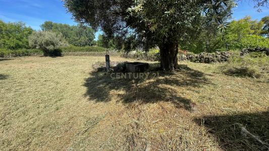 Idanha A Nova, Castelo Branco 6060-511, Portugal