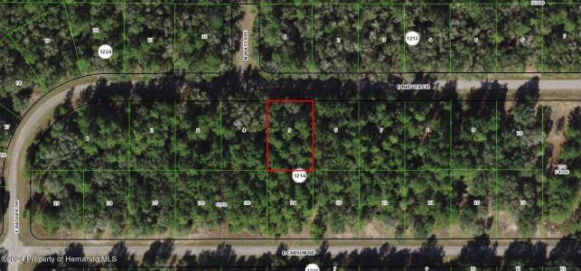5 Lots Portfolio Drive, Citrus Springs, Floryda 34434, USA