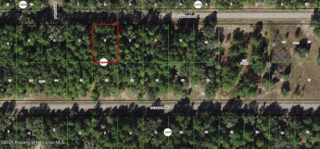 5 Lots Portfolio Drive, Citrus Springs, Floryda 34434, USA